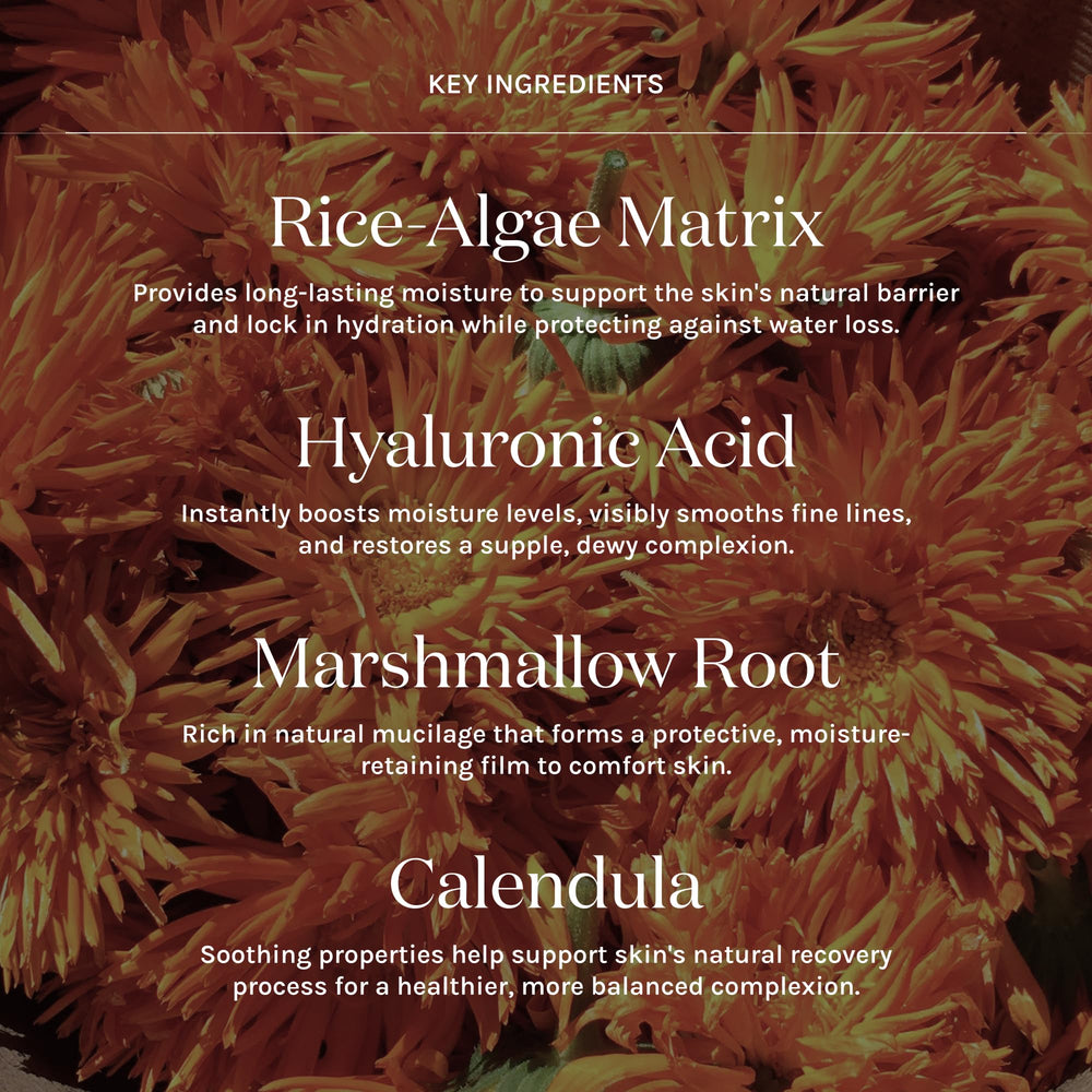 Aloe and Calendula blend in Kari Gran Moisture Milk