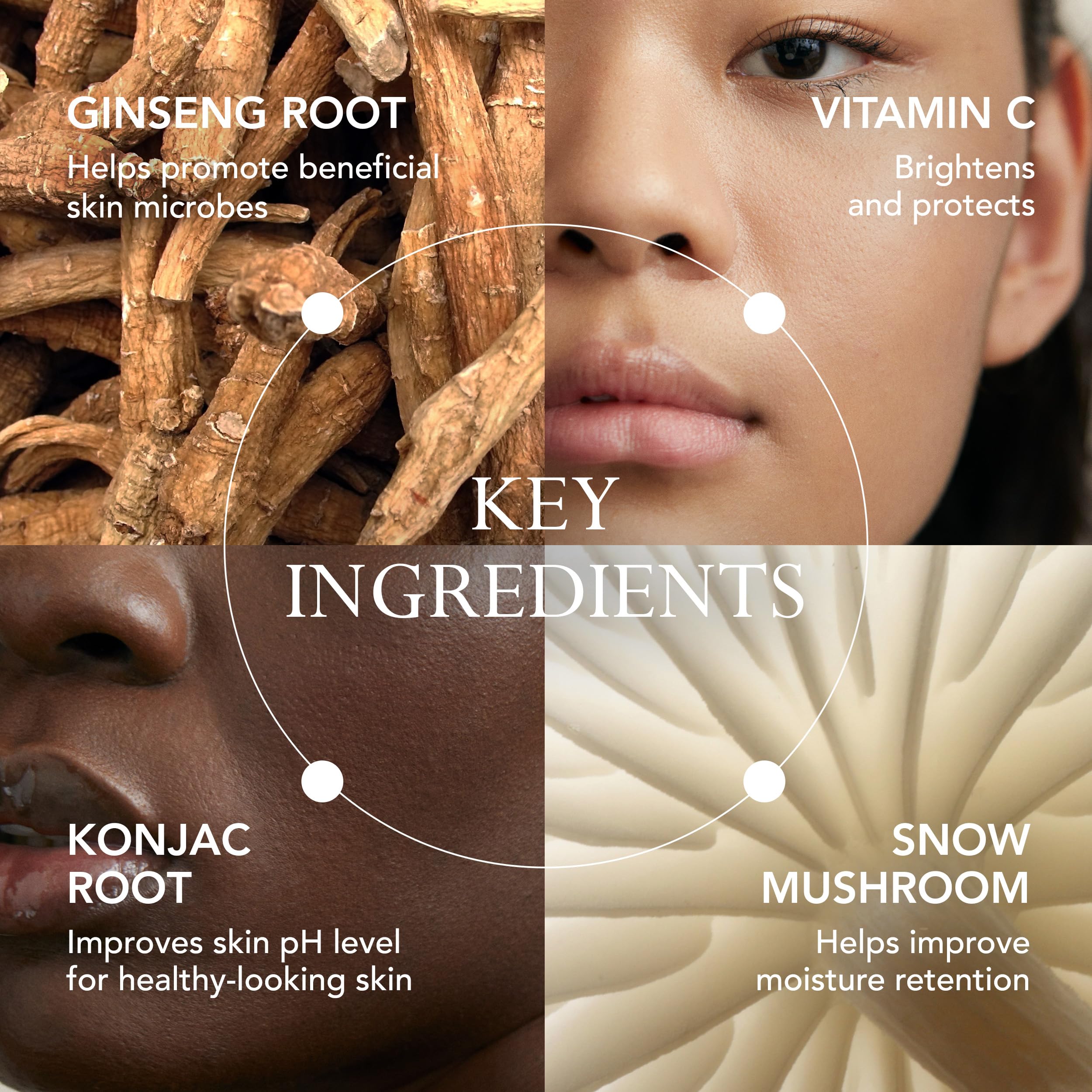 KAT BURKI VitaBiome Konjac Root ingredient spotlight improves texture