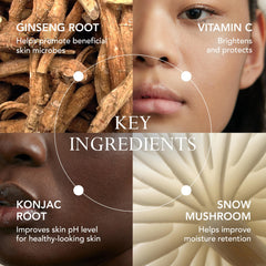 KAT BURKI VitaBiome Konjac Root ingredient spotlight improves texture