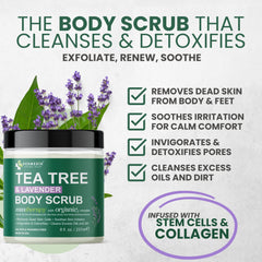 Kesmedik Pure Tea Tree Oil Scrub foot care application for gentle exfoliation and hydration