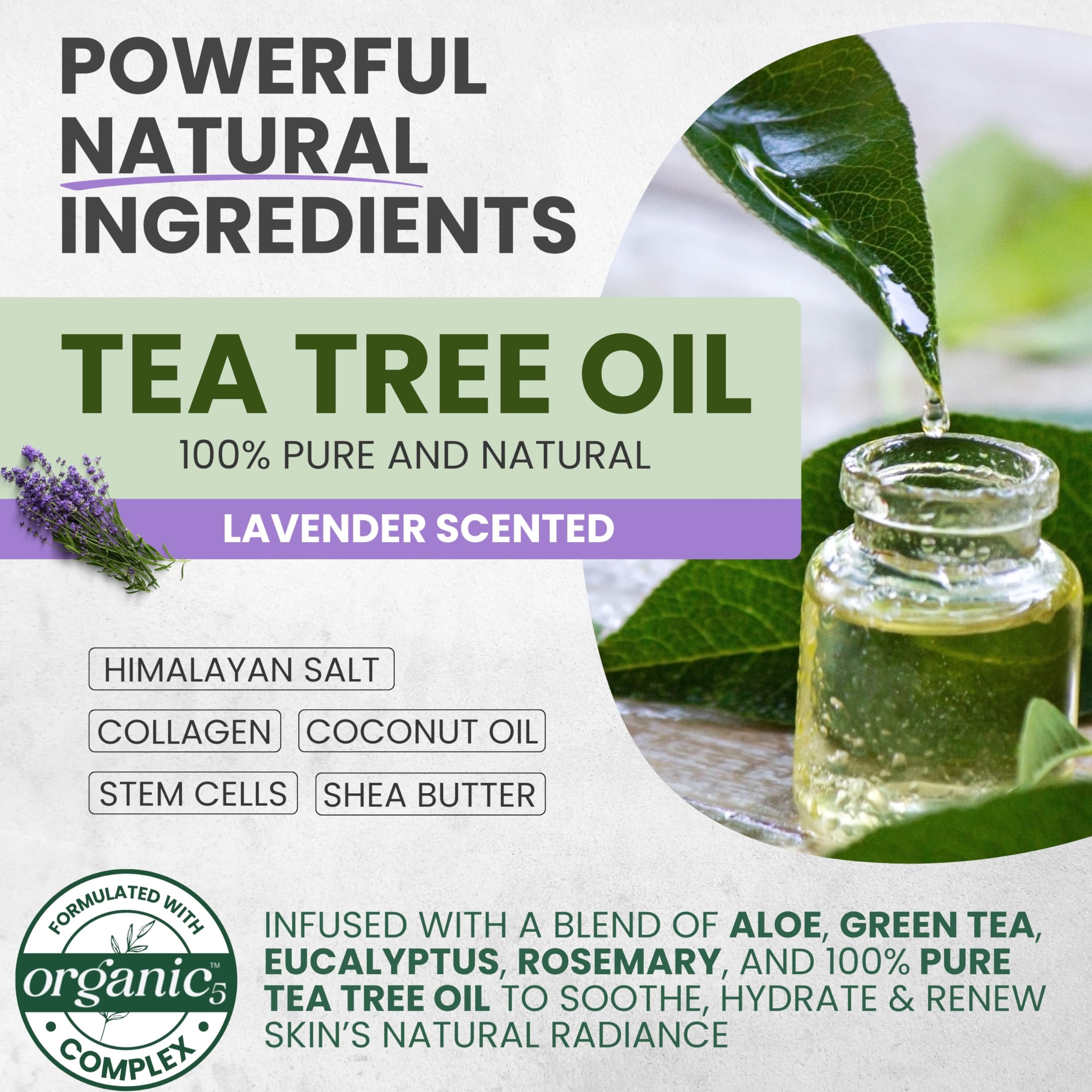 Kesmedik Pure Tea Tree Oil Scrub stem cells and shea butter close-up for nourishment
