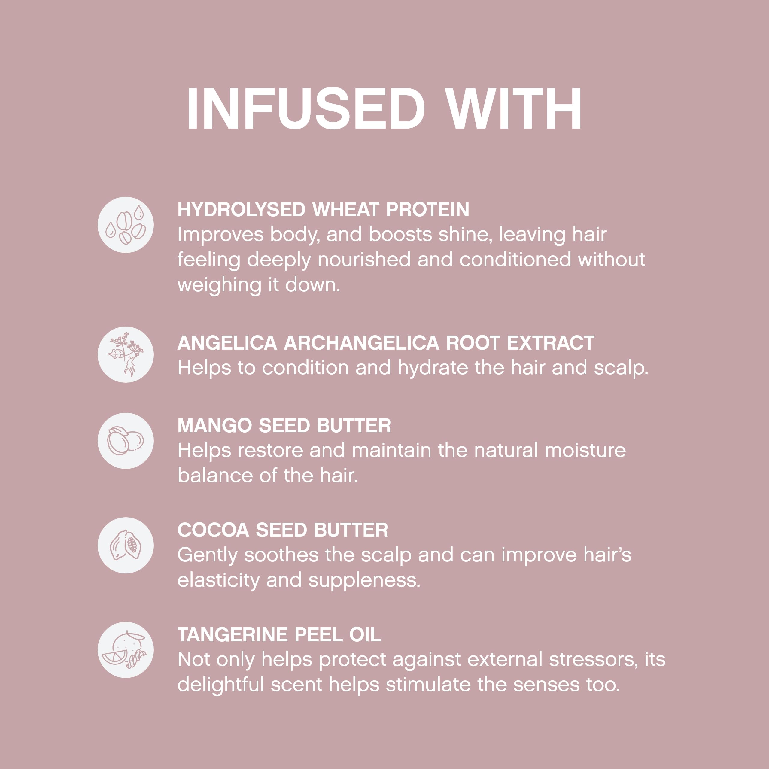 Close-up of Mango and Cocoa Butter ingredients powering nourishing conditioning