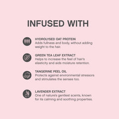 KEVIN.MURPHY Angel.Wash ingredients close-up with green tea and oats.