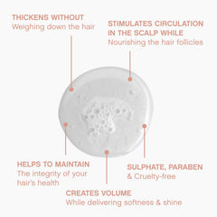 Ginger root extracts visible, signaling nourishing scalp care in PLUMPING.WASH