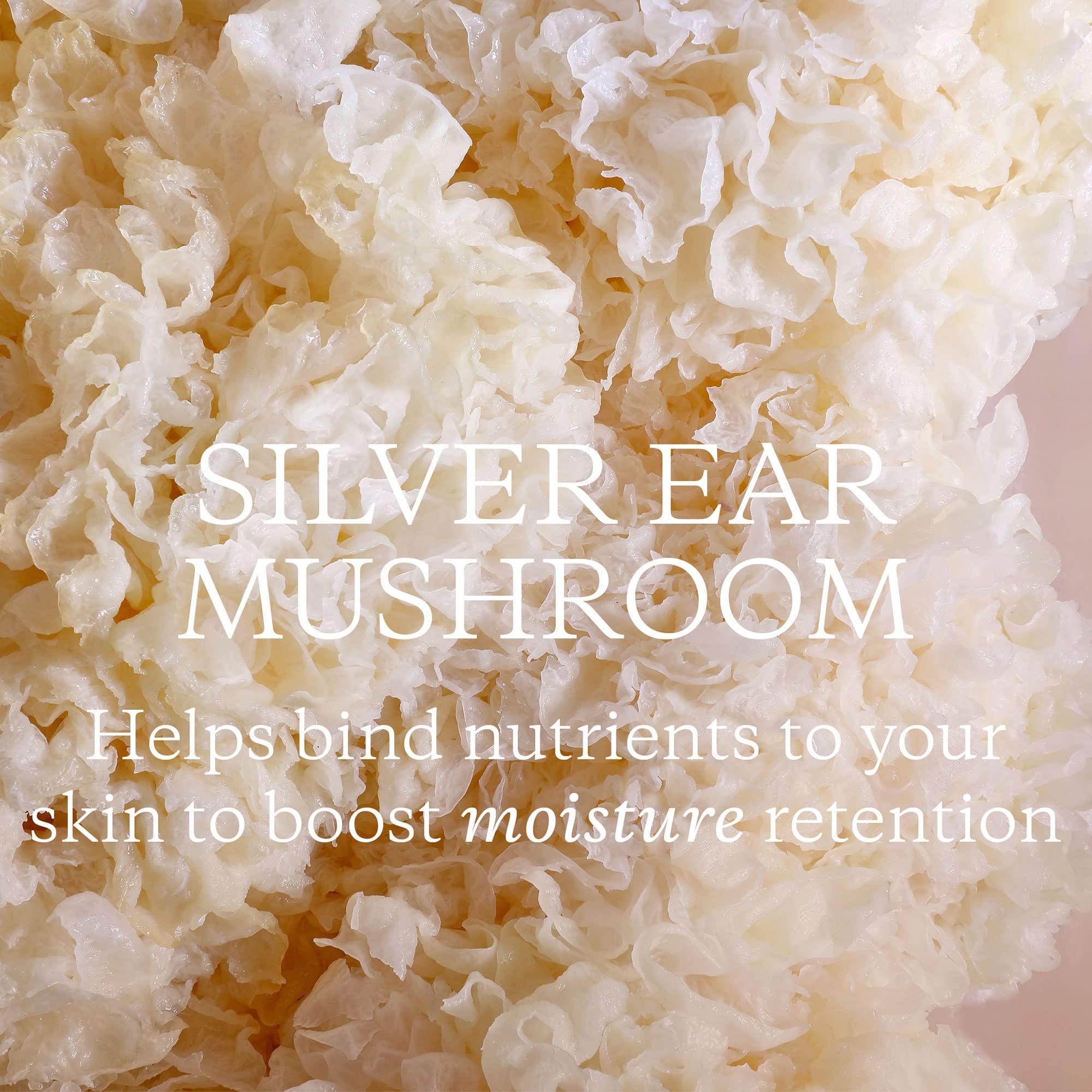 KORA Organics Milky Mushroom Oil Cleanser ingredients sunflower oil close-up.