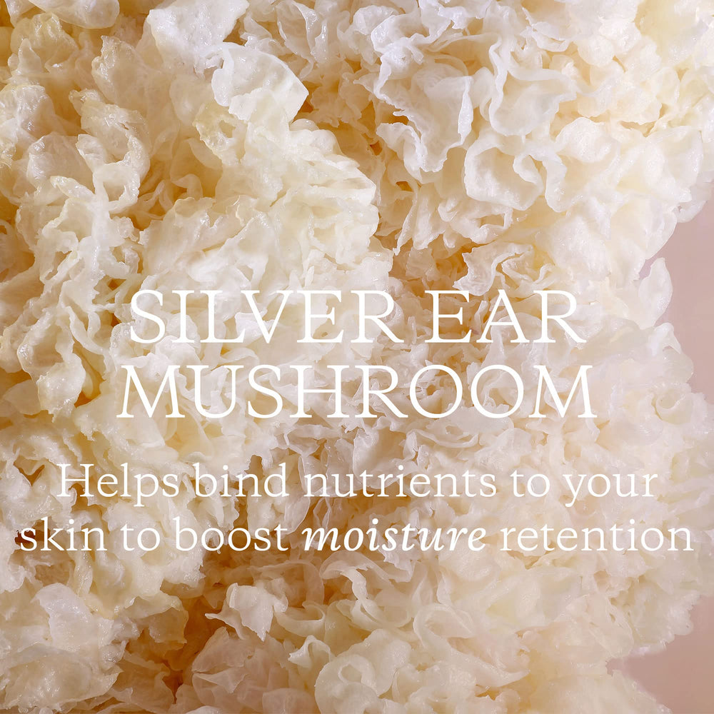 KORA Organics Milky Mushroom Oil Cleanser ingredients sunflower oil close-up.