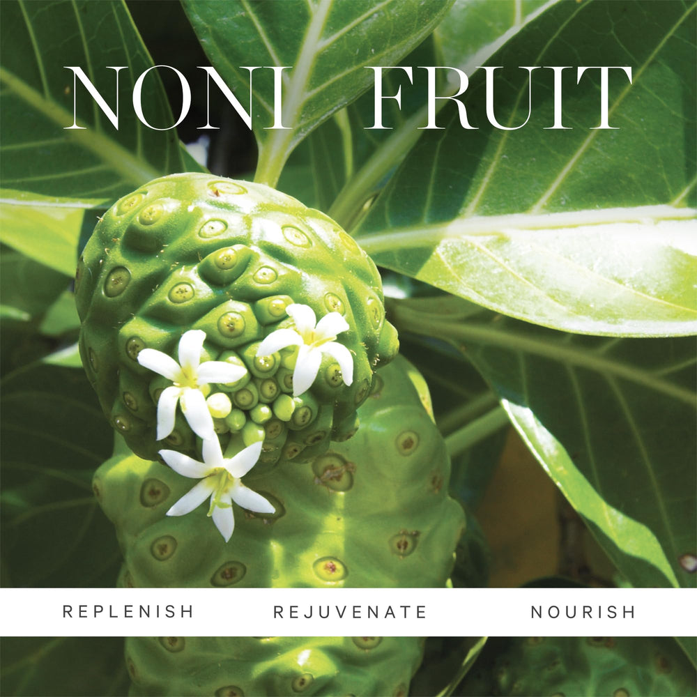 KORA Organics Noni Glow Body Oil after shower use helps lock in moisture.
