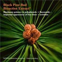 KORRES Black Pine Primus Day Cream bottle visible, vegan-friendly packaging.