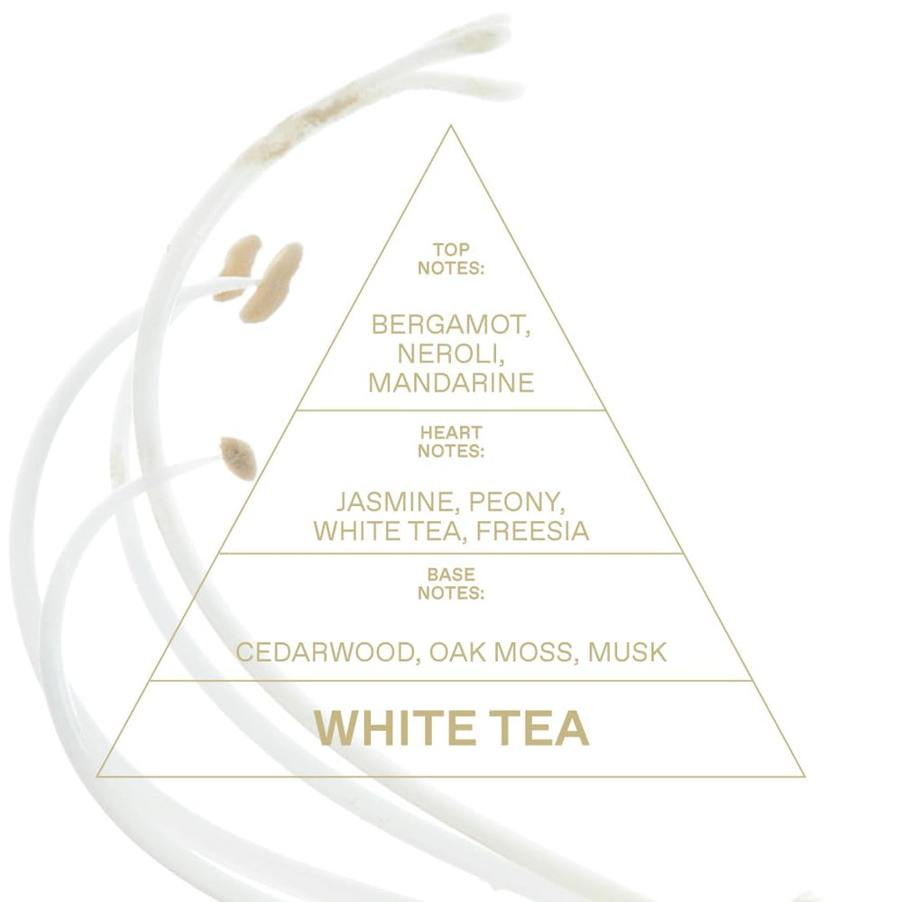 KORRES White Tea EDT travel bottle tucked in a bag for on-the-go refreshing.