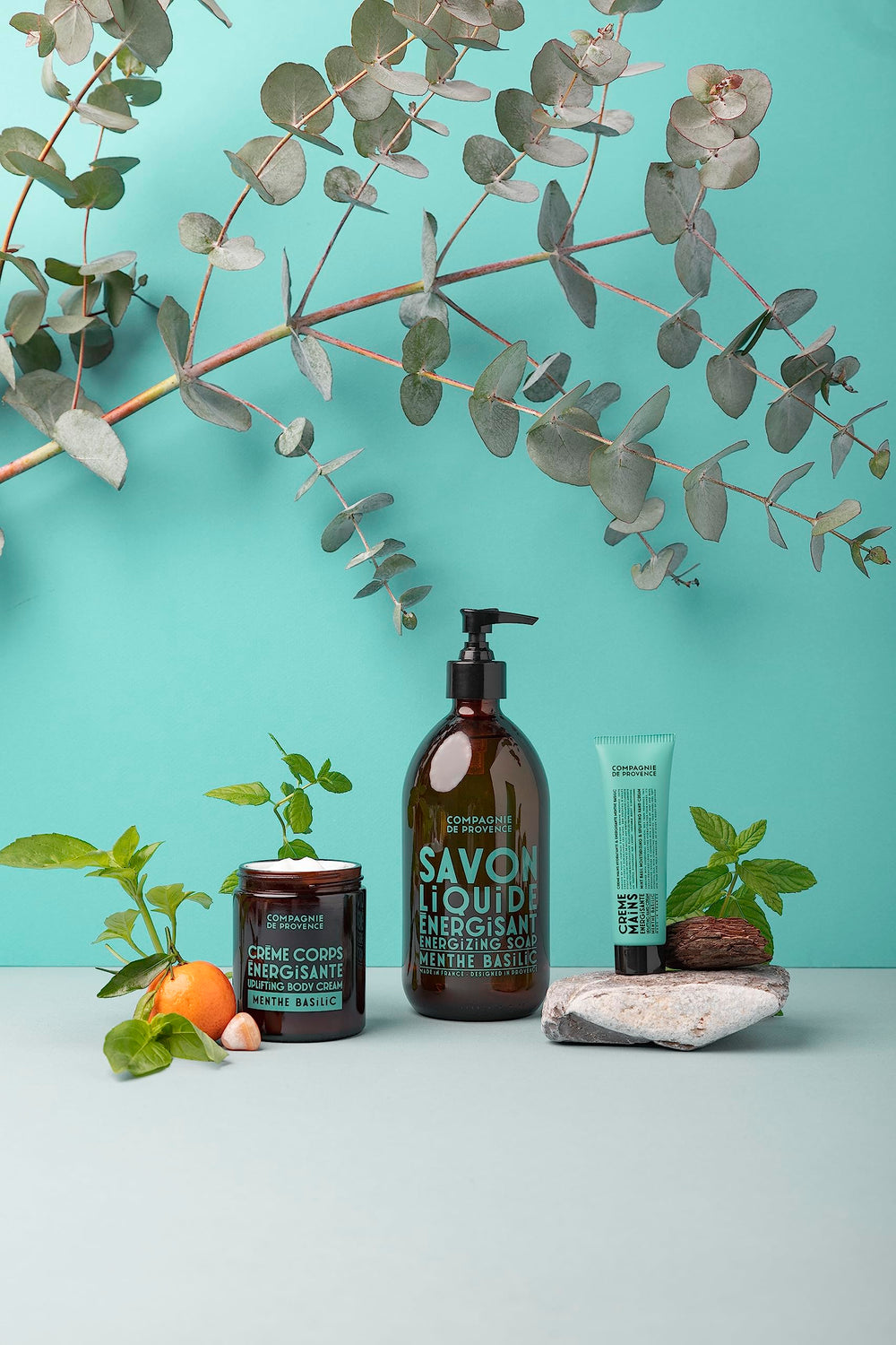 Mint Basil fragrance notes of La Compagnie de Provence Apothicare liquid soap
