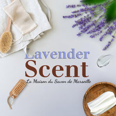 Provence lavender scent delivers a calming, spa-like moment in daily routines.