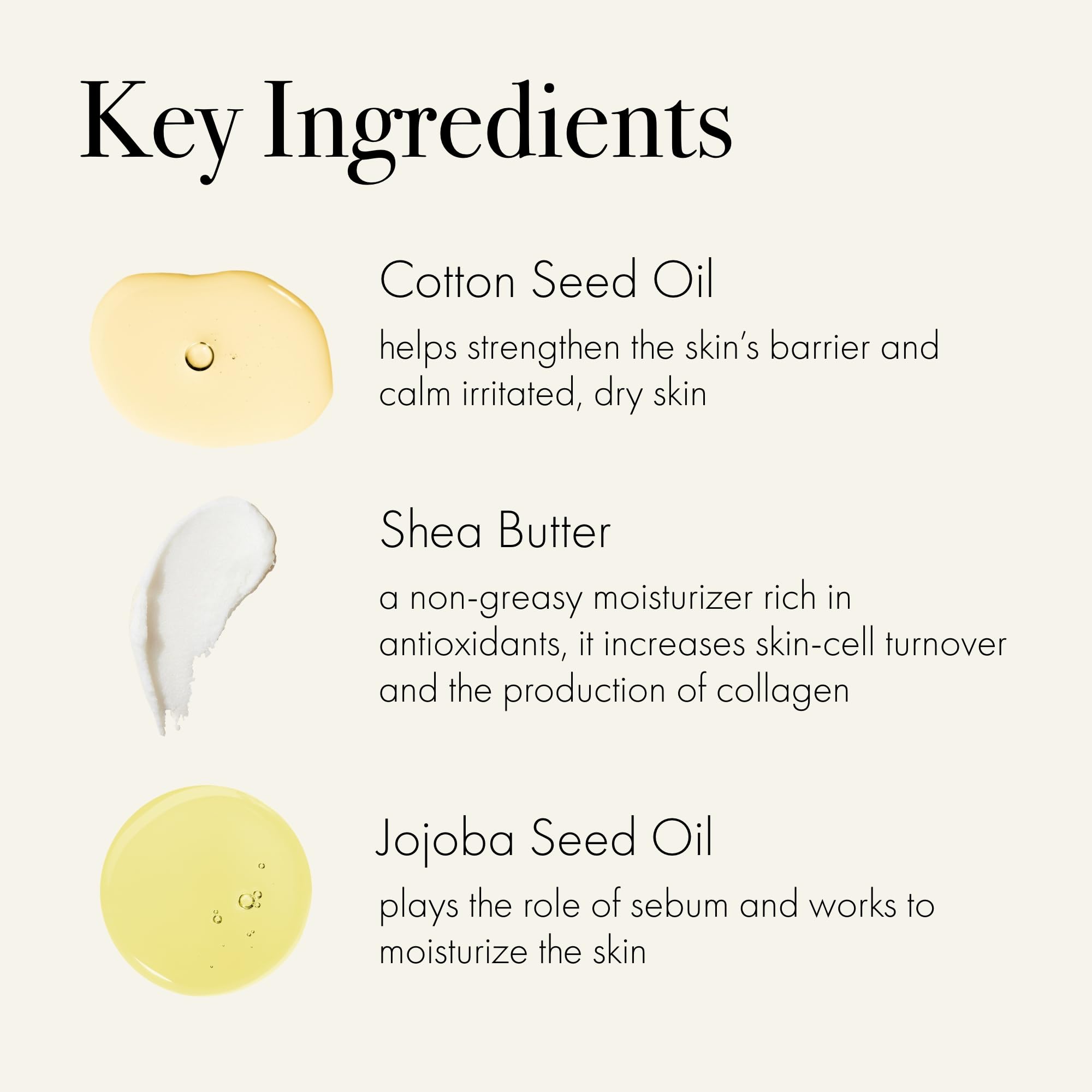 Feu de Bois scent profile highlighting pine and sandalwood for a comforting ambience.