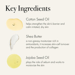 LAFCO New York hand cream applied to dry hands reveals a refined, comfortable finish.