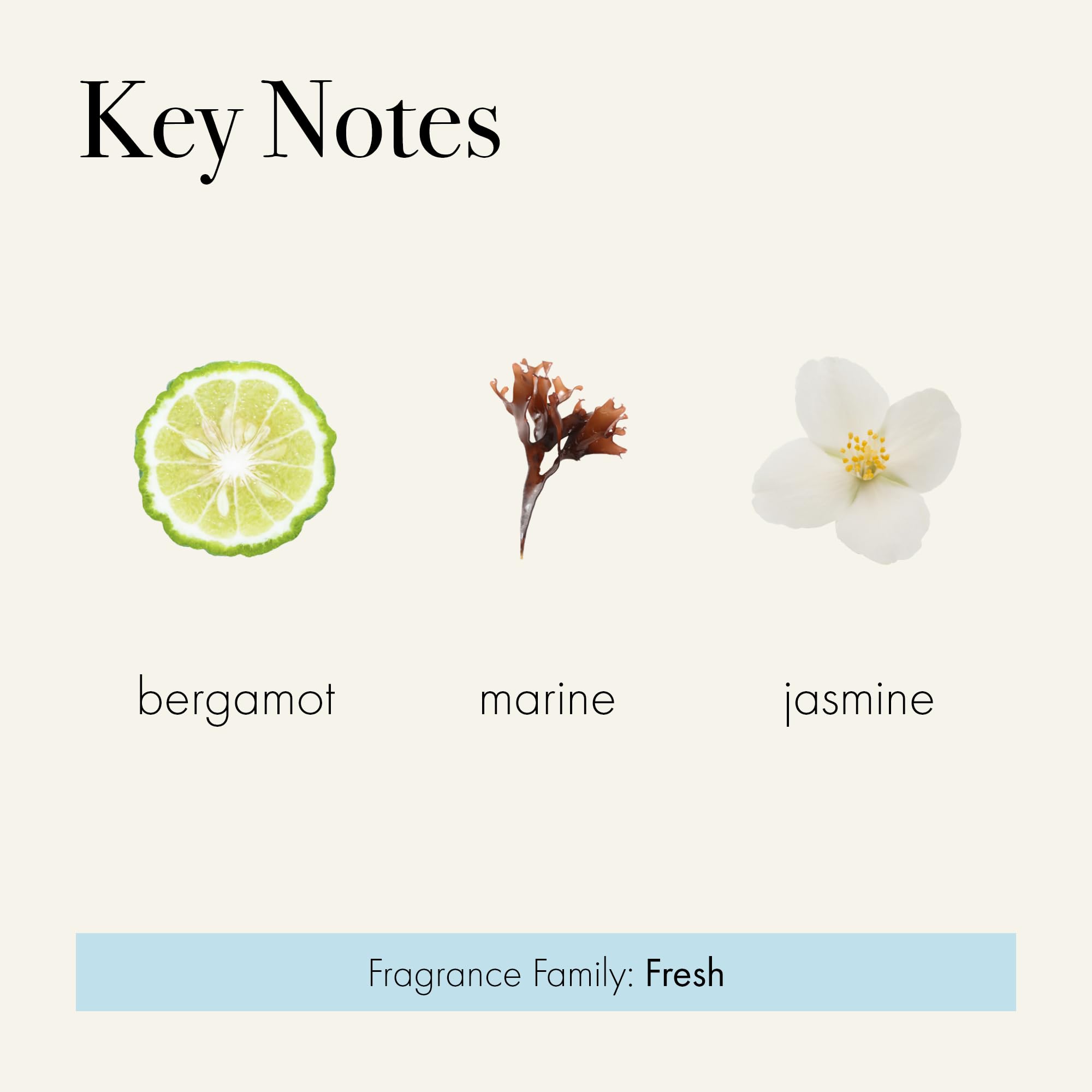 Texture close-up reveals creamy foam that nourishes hands and body