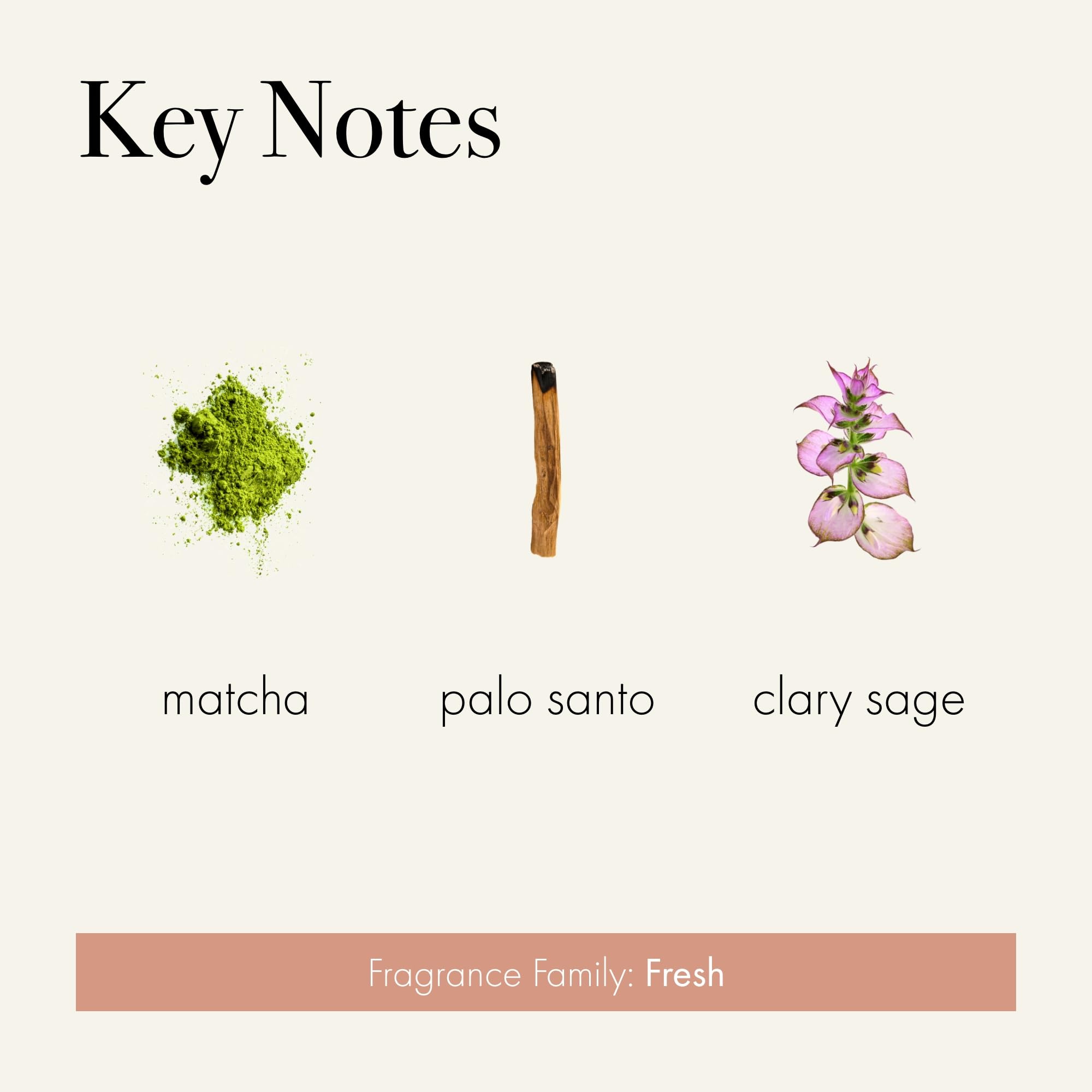 LAFCO New York Retreat fragrance notes close-up highlighting matcha and mint