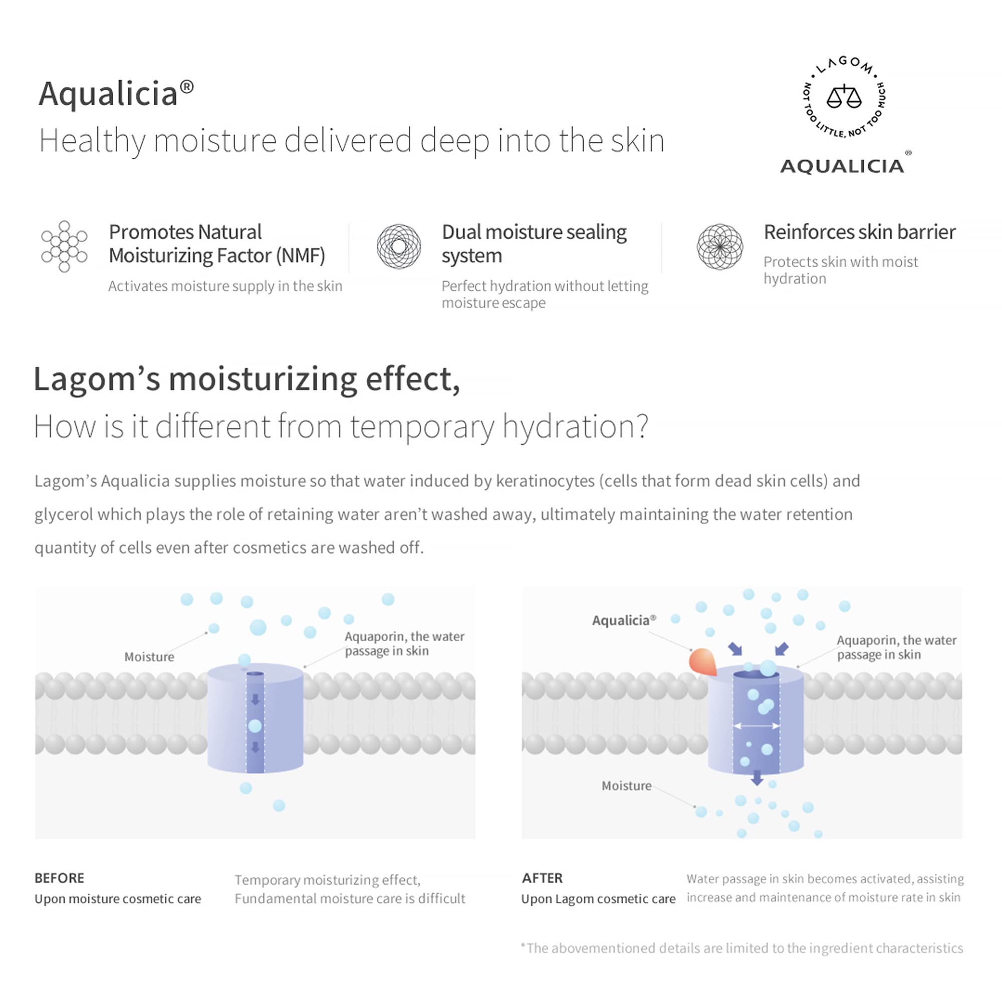 LAGOM Cellus Mild Moisture Cream contains D-Panthenol for moisturized skin
