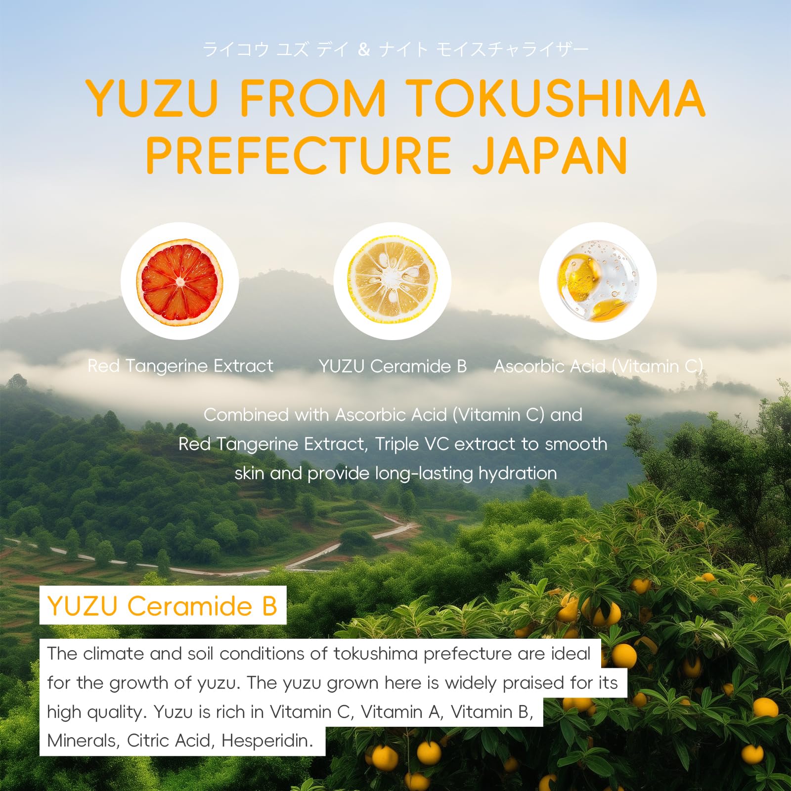 LAIKOU YUZU day and night moisturizer jar for lightweight hydration.