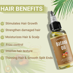Lampolar Batana Oil drops for scalp nourishment and easy application