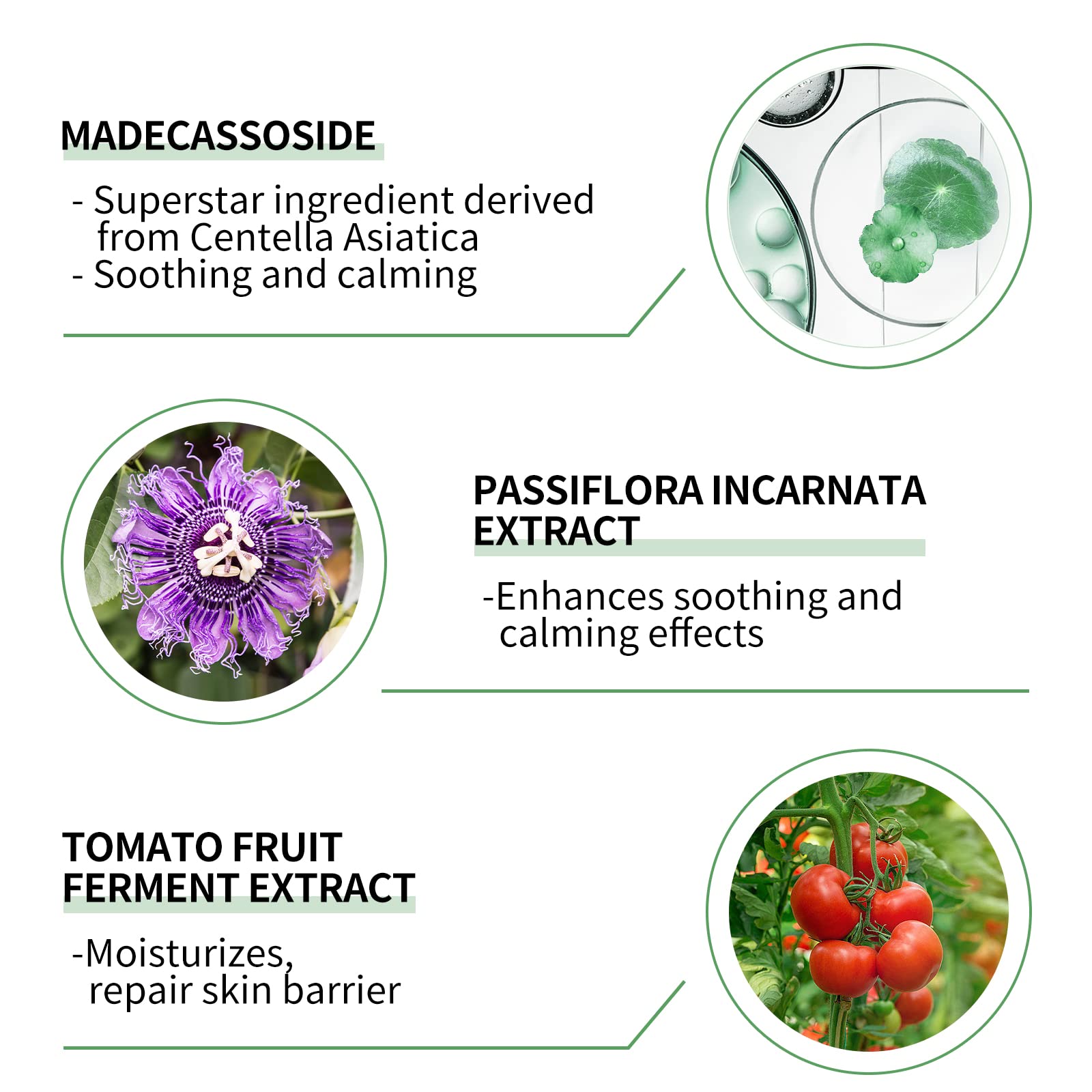 LANBENA pore-refining exfoliation closeup illustrating refined texture.