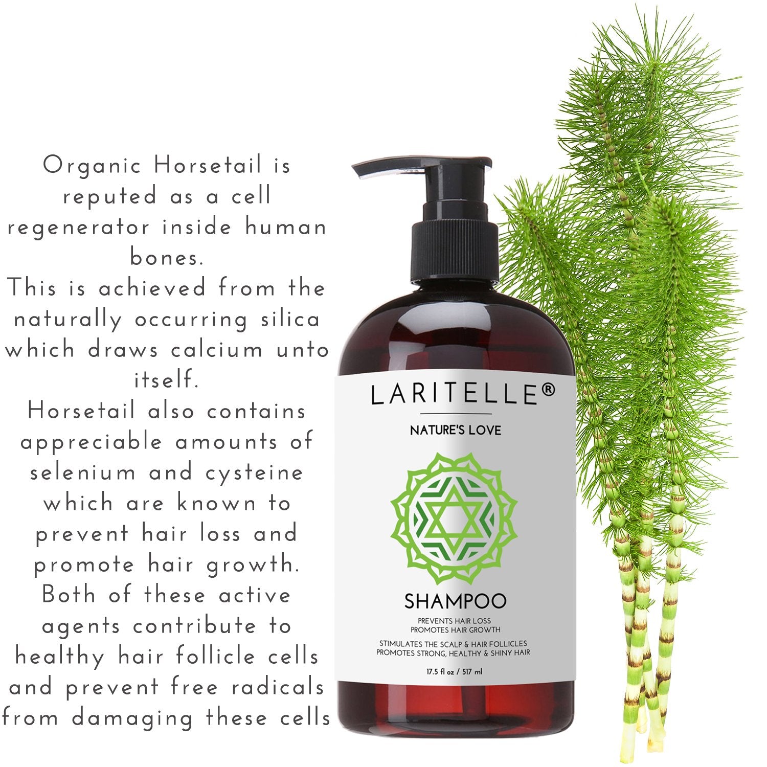 Laritelle Organic Conditioner bottle highlighting detangling and moisture for smooth curls.