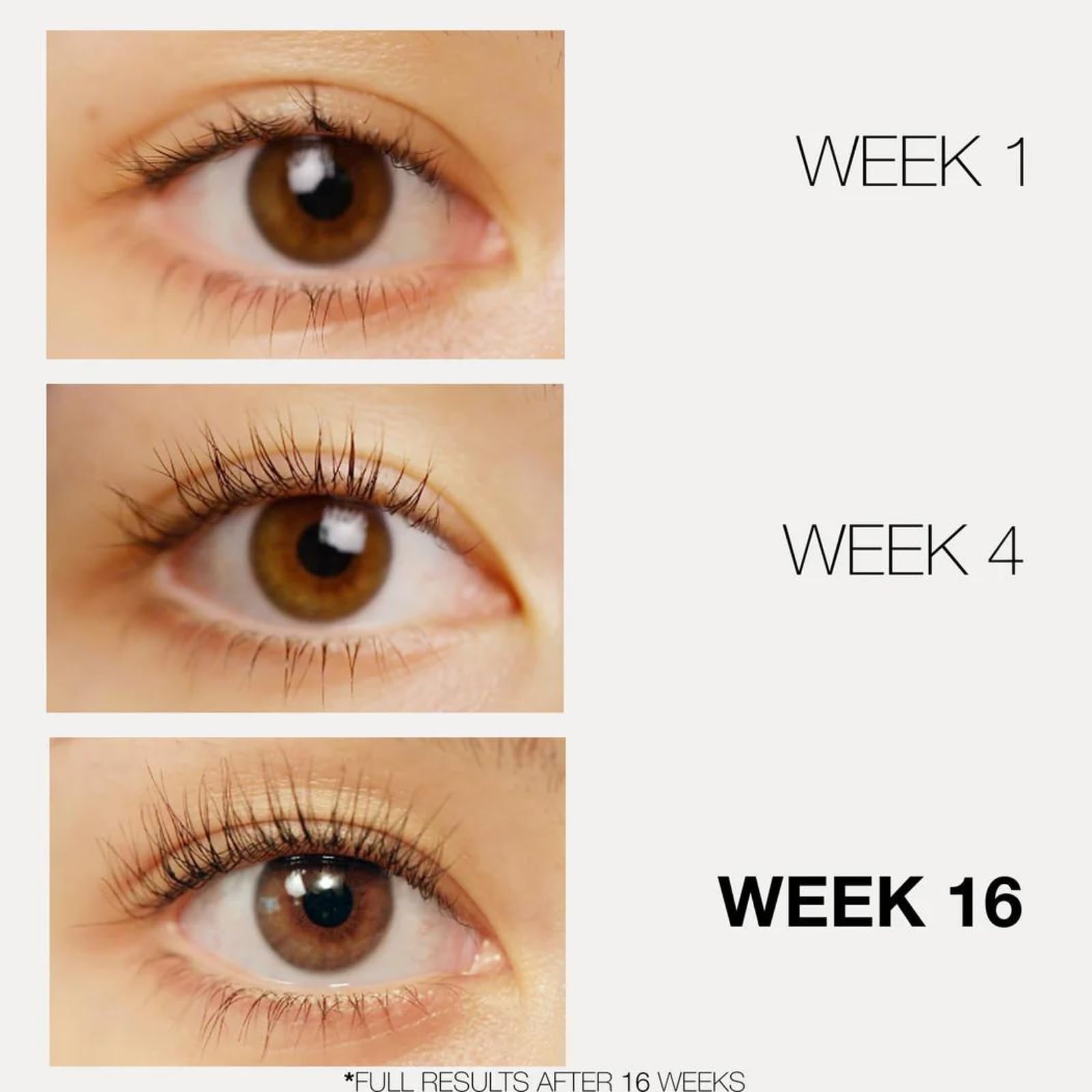 LashFood close-up in use to illustrate eye-friendly lash enhancement