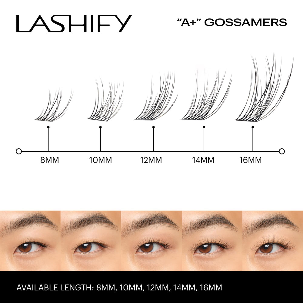 Lashify Amplify Plus base-layer lashes shown for base layering