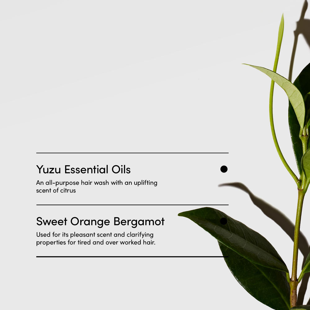 LATHER Yuzu Bergamot Crème Rinse after-use shine suggests healthier-looking hair.
