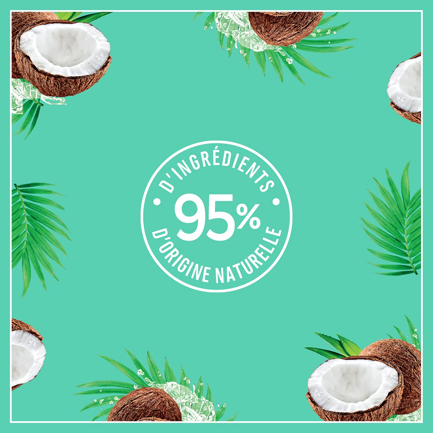 Le Petit Marseillais Coconut Body Milk cream texture highlights rich, non-greasy moisture.