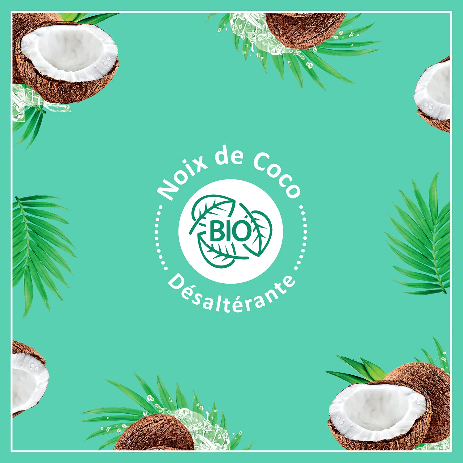 Le Petit Marseillais Coconut Body Milk packaging showcases reusable pump bottle for easy application.