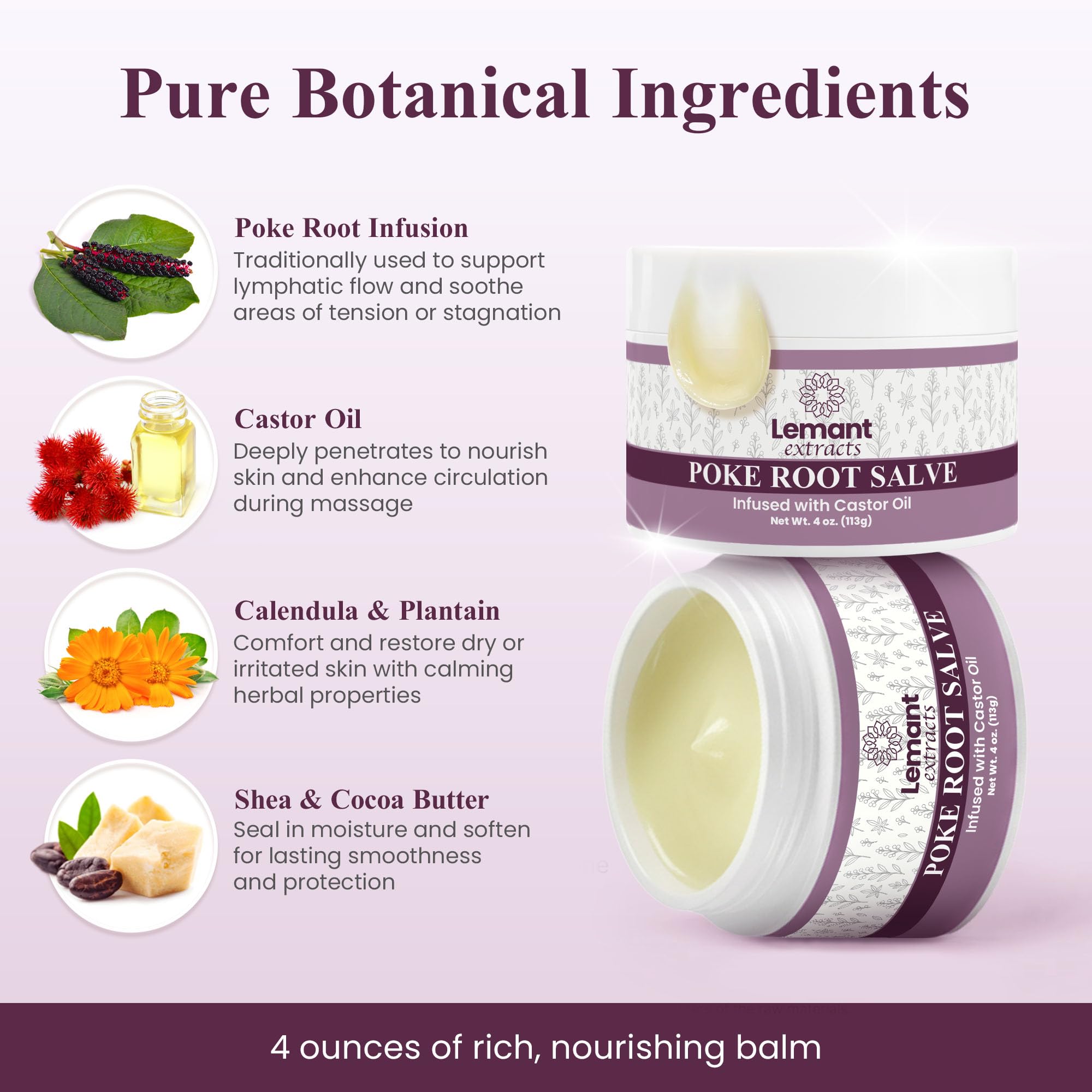Herbal ingredients close-up in Lemant salve: calendula, plantain, red clover, cleavers