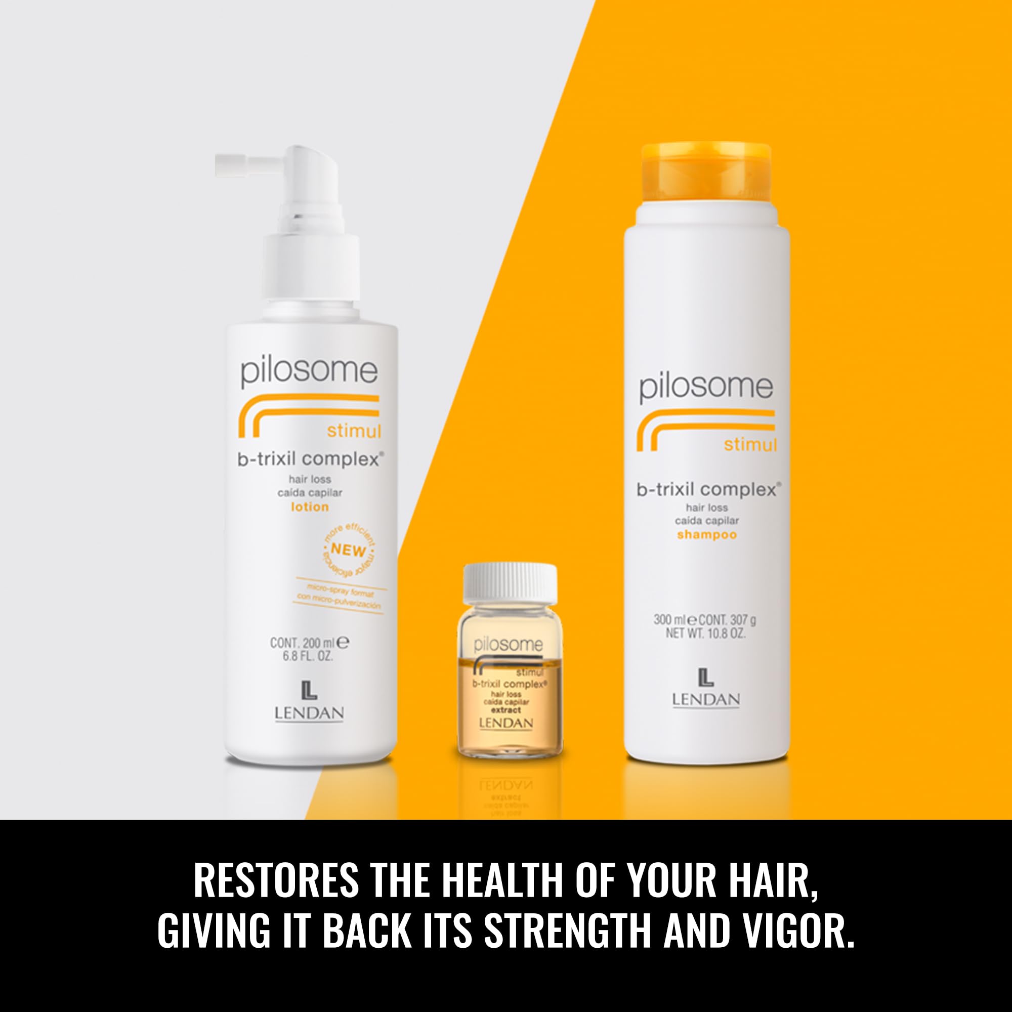 Lendan packaging display emphasizes premium branding and product quality