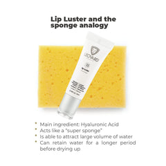 Leovard Lip Luster with hyaluronic serum on lips for a hydrated look
