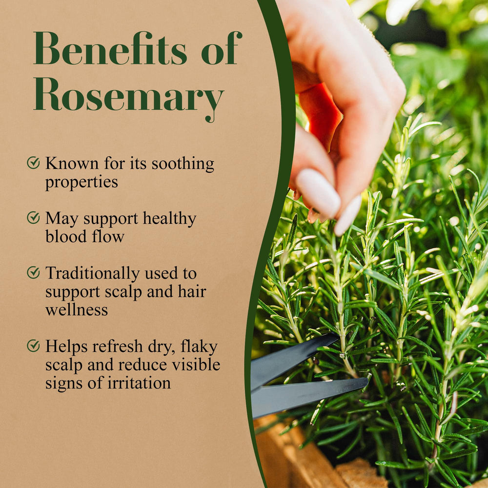 Lia Organics rosemary aroma providing a refreshing scent during use