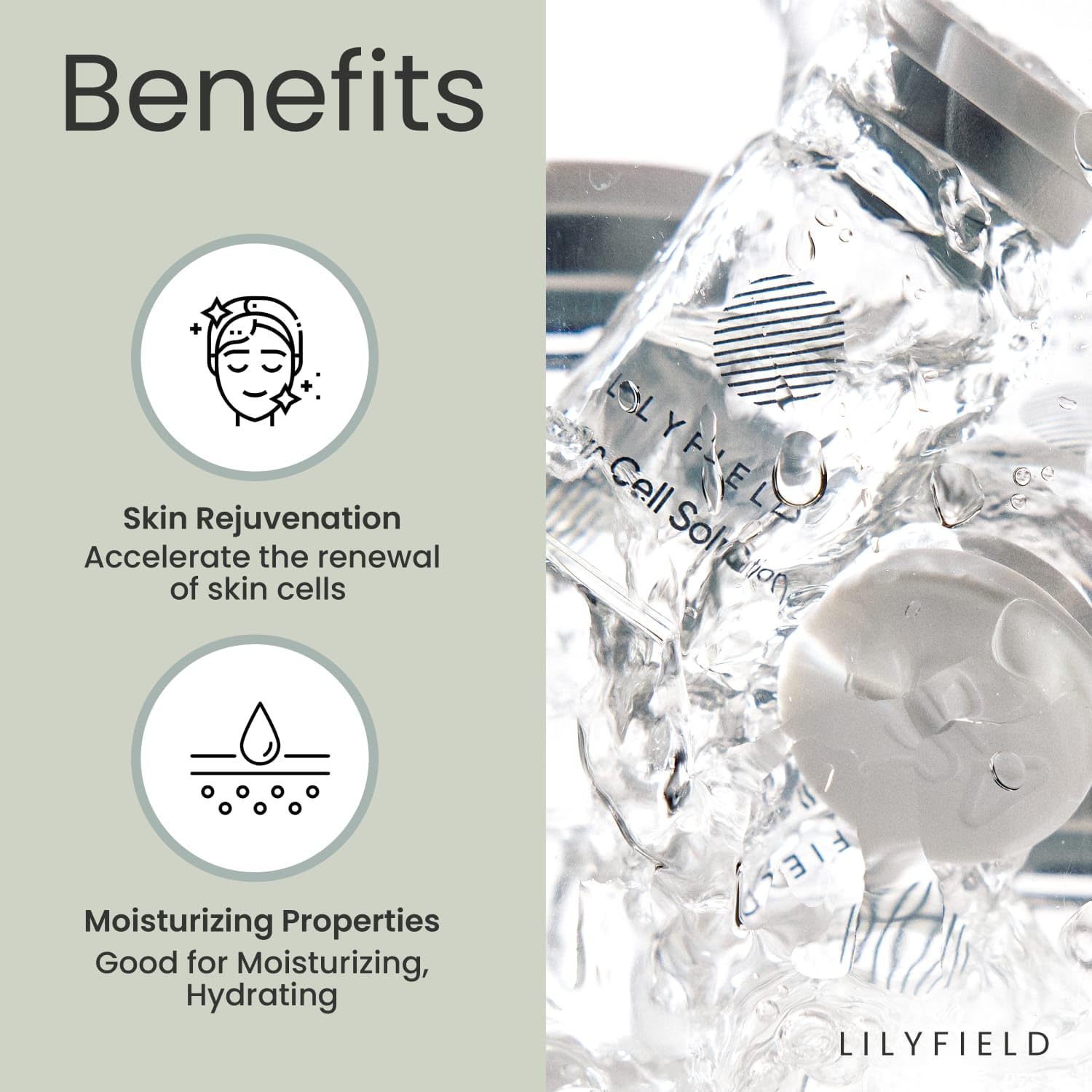 LILYFIELD Green Tea Callus Culture Extract close-up indicating soothing barrier support.