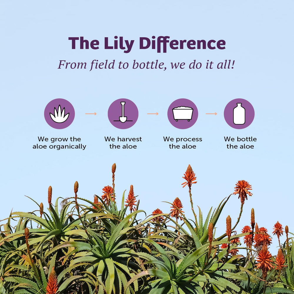 Lily Of The Desert Gelly vitamin E and C mix highlighting antioxidants.
