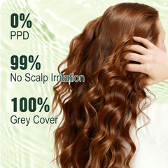 Limer Herbal blend with ginger and ginseng highlights nourishing color care.