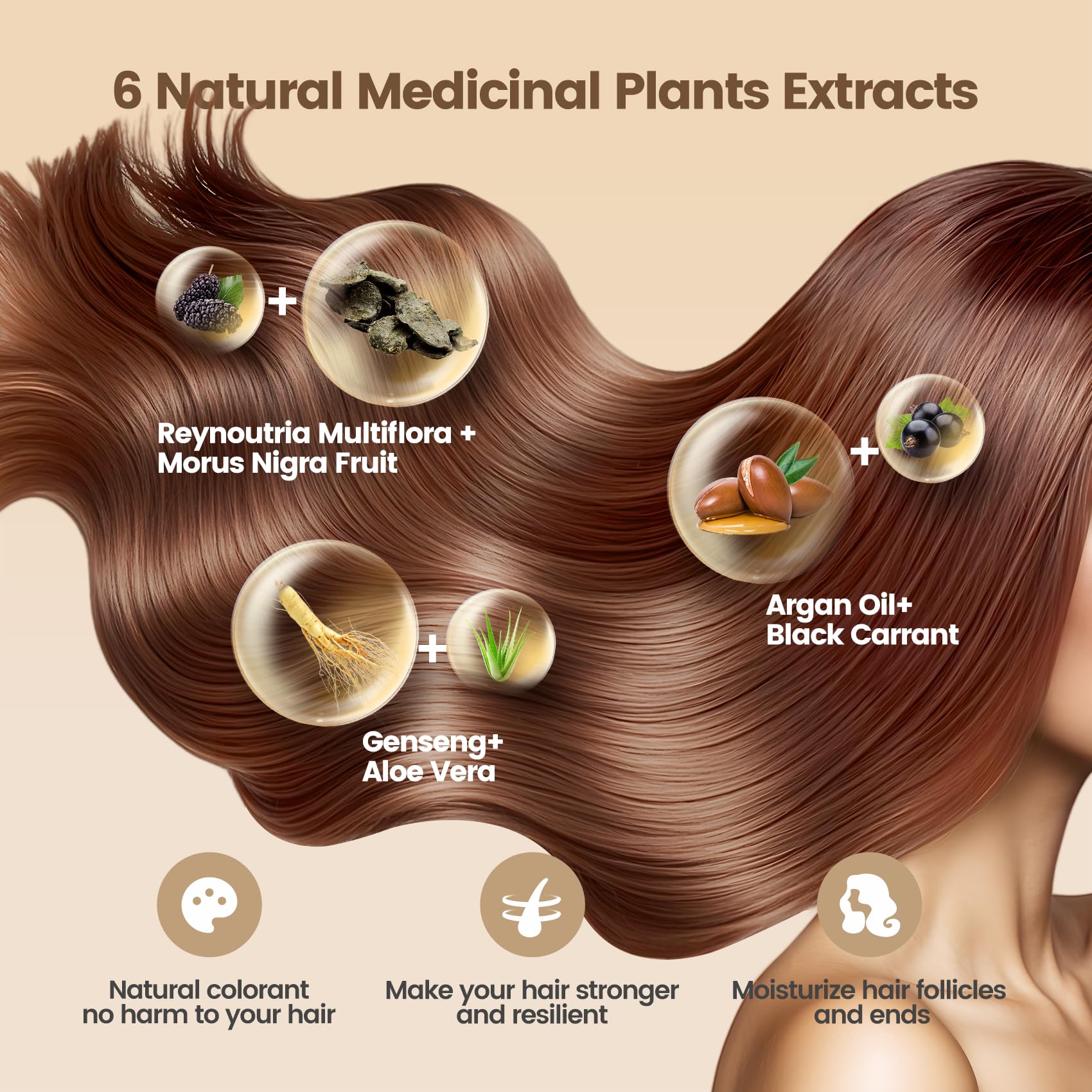 Limer Hair Dye Shampoo pump application enabling quick color