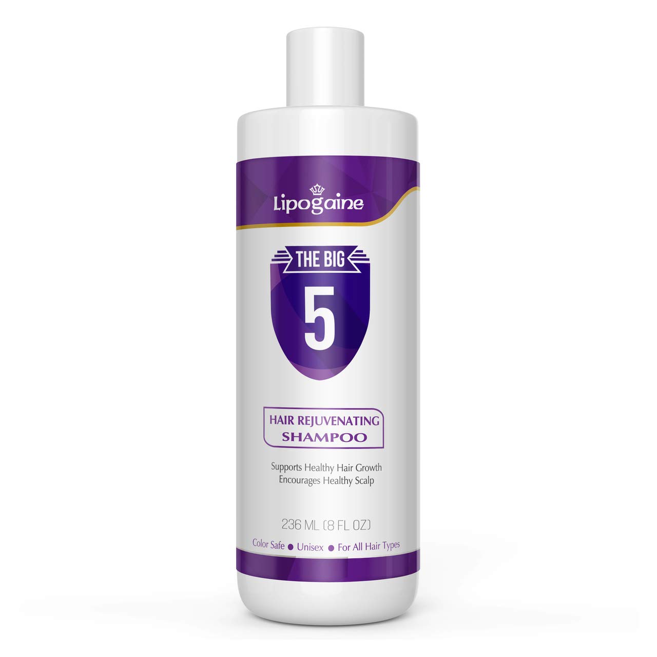 Lipogaine Big 5 Shampoo bottle with purple label showing hydration for hair.