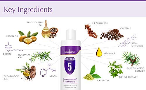 Lipogaine Big 5 Shampoo foamy lather on hair signals cleansing and shine.