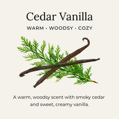 Free wooden scoop included with the jar for mess-free scooping.