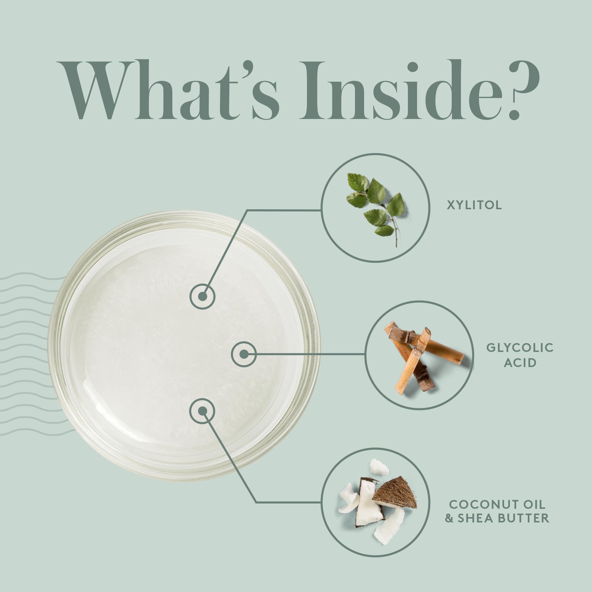 LivSo ingredients close-up featuring coconut oil and AHA.