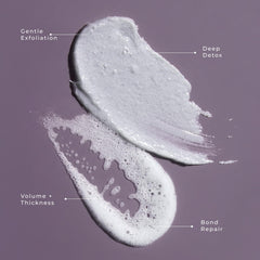 Lolavie charcoal powder close-up highlights purification effects