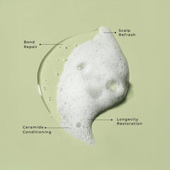 Close-up of LolaVie label highlighting vegan, color-safe formula.