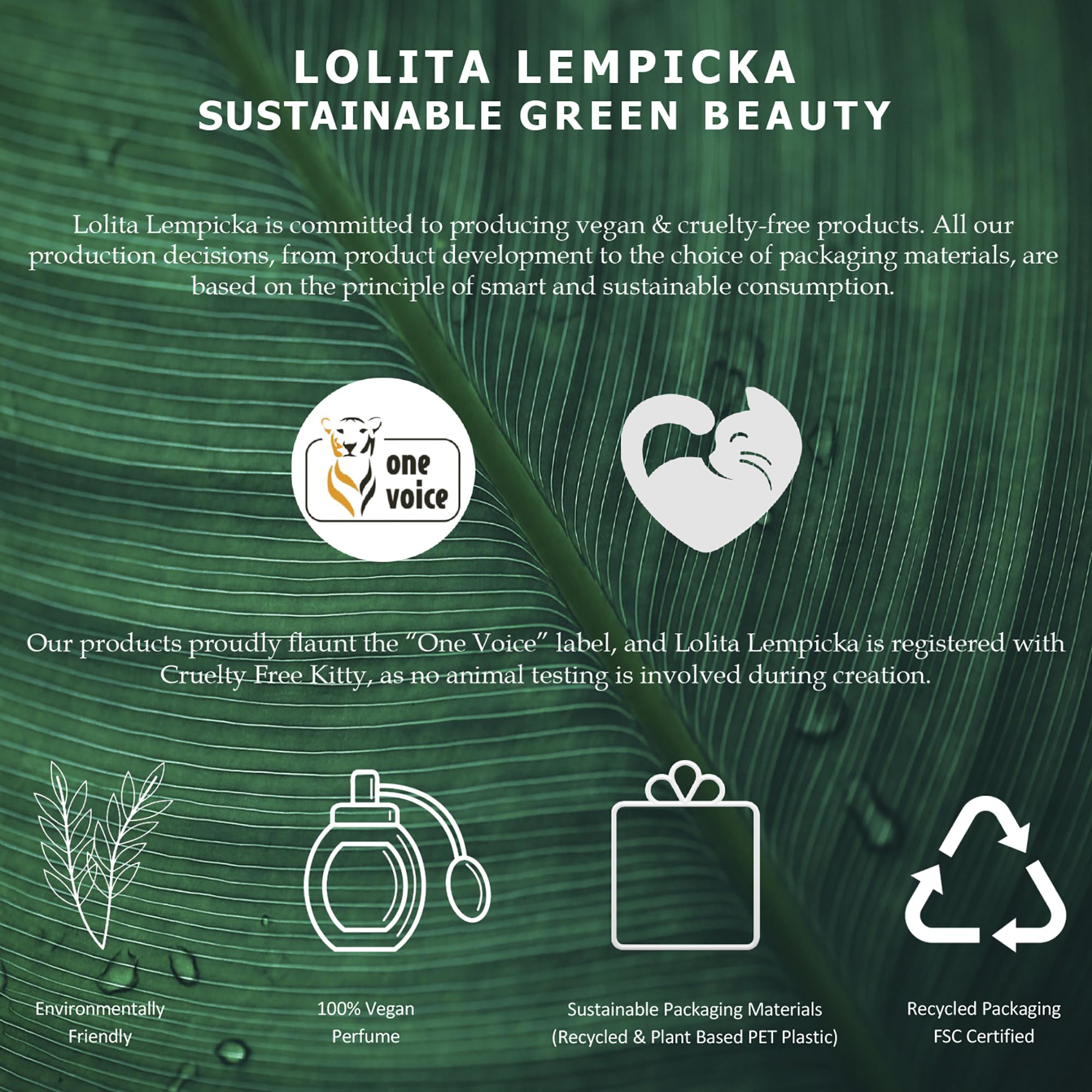 Lolita Lempicka Le Parfum packaging gift-box image suggests perfect gifting moment.