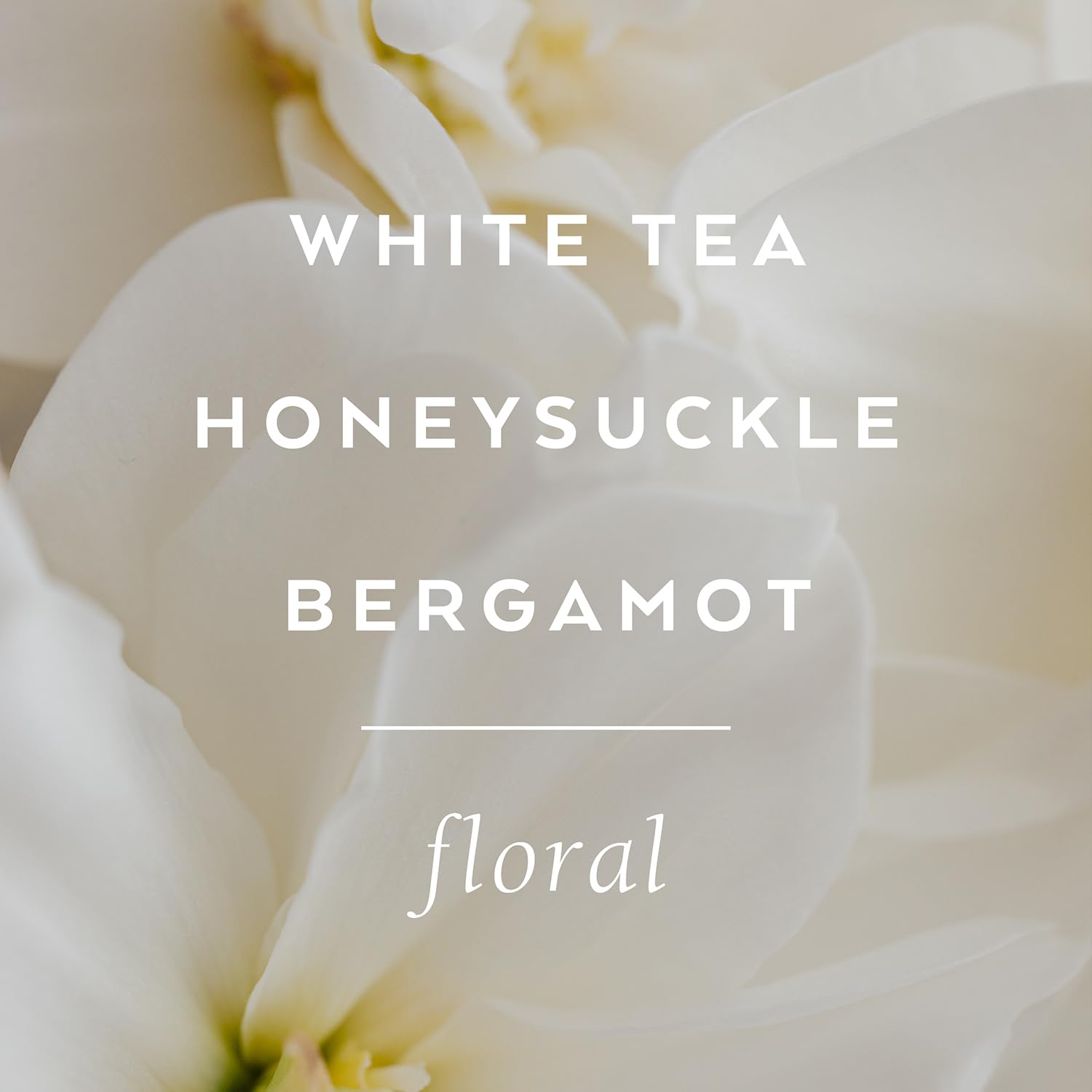 LOLLIA Dream Body Butter fragrance notes showcase White Tea and Honeysuckle.