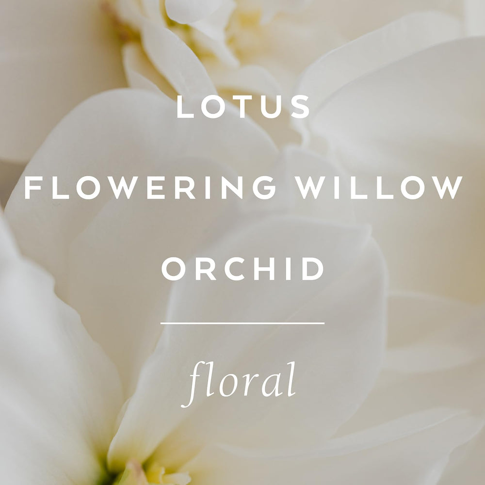 LOLLIA Imagine Flowering Willow and Lotus notes deliver a gentle fragrance.