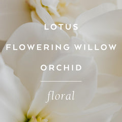 LOLLIA Imagine Flowering Willow and Lotus notes deliver a gentle fragrance.