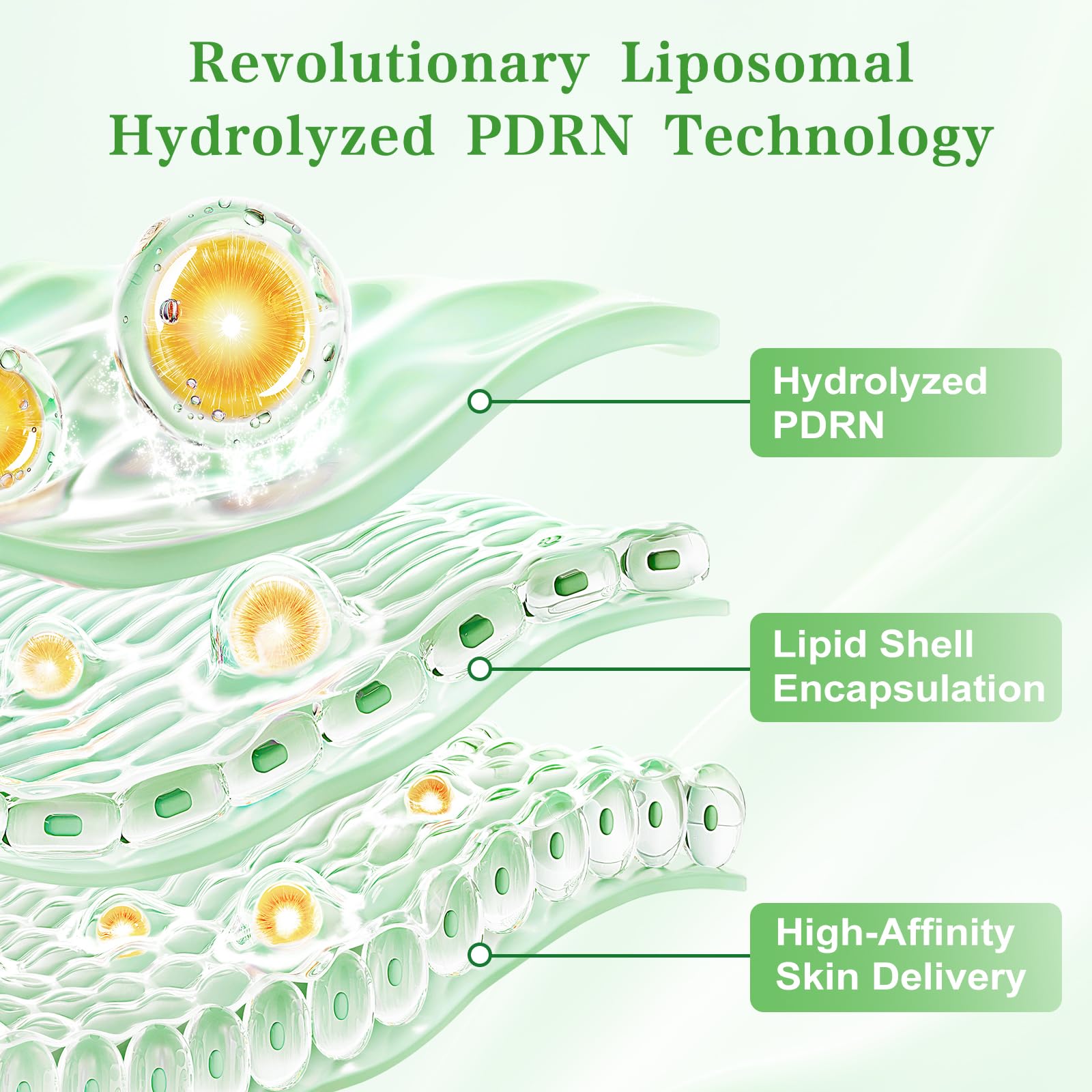 LOLX hyaluronic acid infusion emphasizes instant and lasting moisture for plump skin