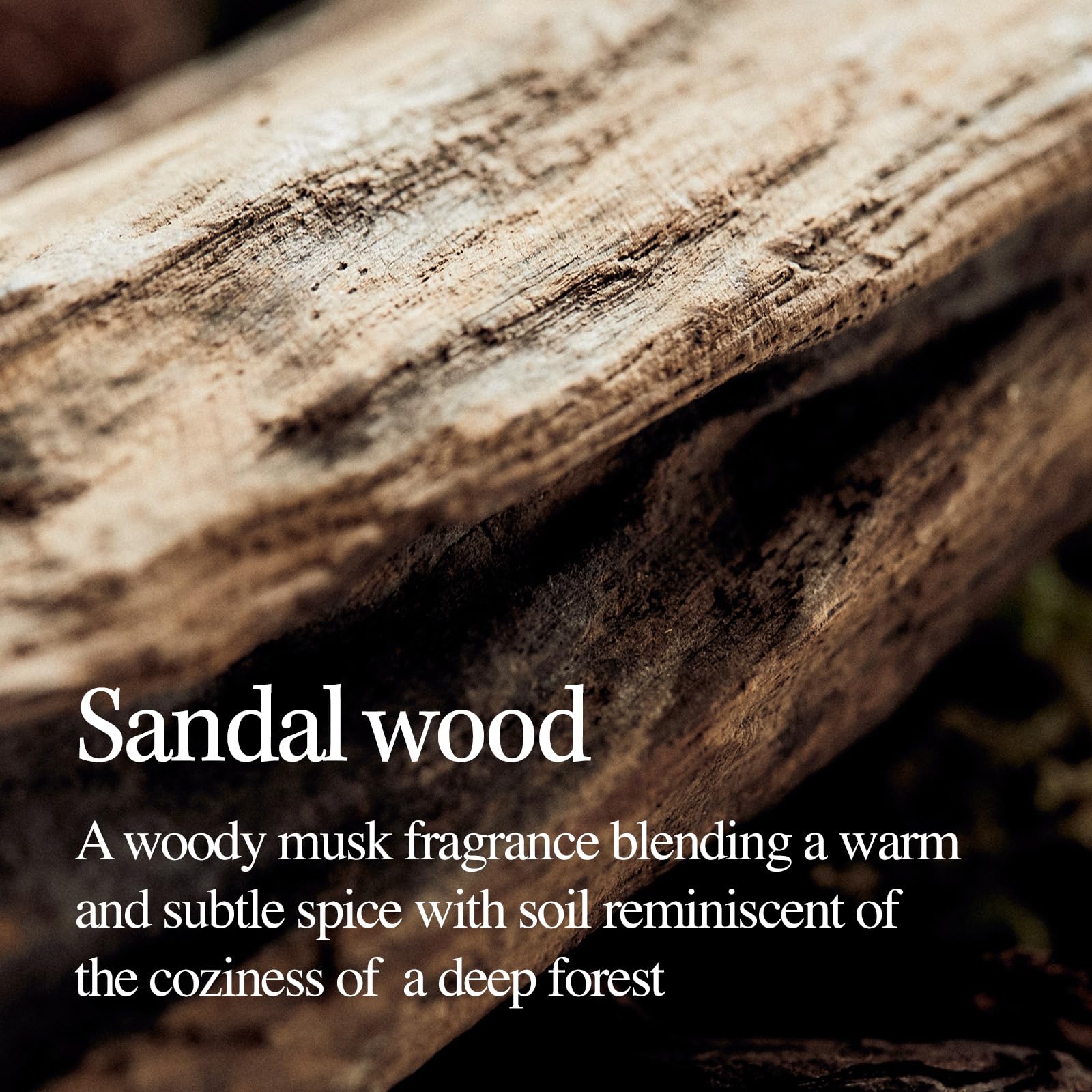 LONGTAKE Sandalwood Body Wash fragrance-note conveys deep sandalwood aroma.