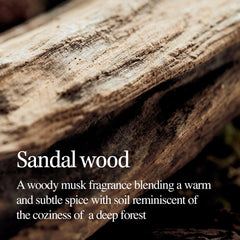 LONGTAKE Sandalwood Body Wash fragrance-note conveys deep sandalwood aroma.